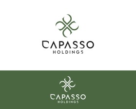 Winning entry: Capasso Holdings entry by land06
