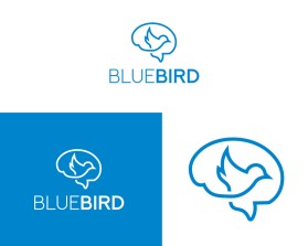 Bluebird entry by Tal