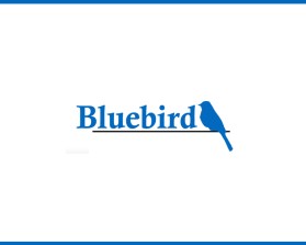 Bluebird entry by Gauti
