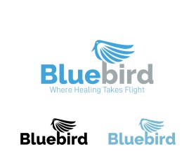 Bluebird entry by Shark Attack