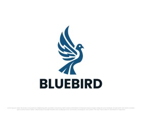 Bluebird entry by shirin studio