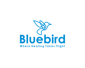 Bluebird entry by mulia
