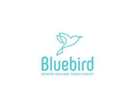 Bluebird entry by JFsaing