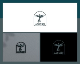 Winning entry: Ascend. entry by Nishant Shukla