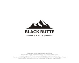 Black Butte Capital entry by hallokenzoo
