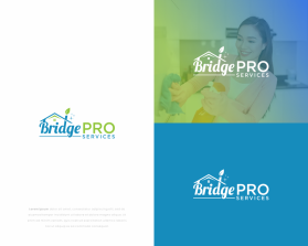 Bridge Pro Services entry by GeoGrap