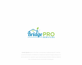 Bridge Pro Services entry by GeoGrap