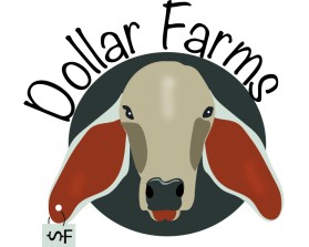 Dollar Farms entry by Connie Hall