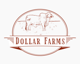 Dollar Farms entry by Piyush Sharma