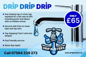 Drip Busters UK entry by IDesign Place
