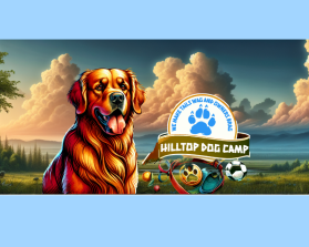 Hilltop Dog Camp entry by 205stylez
