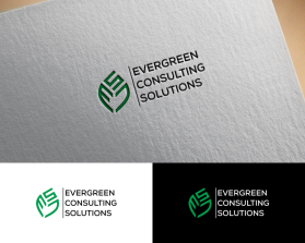 Evergreen Consulting Solutions entry by FINARO_301119