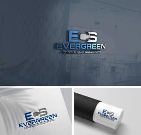 Evergreen Consulting Solutions entry by Md Mizanur Rohman