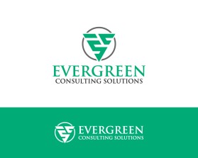 Evergreen Consulting Solutions entry by Amir Hamzaa