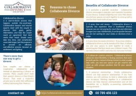 Brochure Design Entry 3337877 submitted by Abo_Shahen to the contest for Collaborative Pamlet run by collaborative