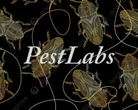PestLabs entry by Lydia Beth Wilson