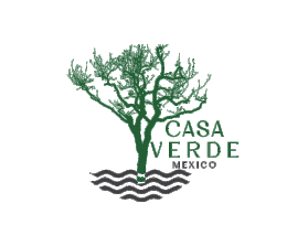 Casa Verde entry by JadaKhelawan