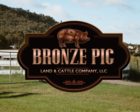 Bronze Pig Land & Cattle Company, LLC entry by Dimitris Mylonas
