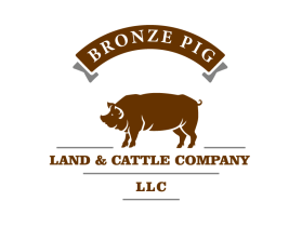 Bronze Pig Land & Cattle Company, LLC entry by Bendangyanger Imchen Teka