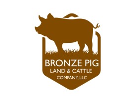 Bronze Pig Land & Cattle Company, LLC entry by Farrukh Baig