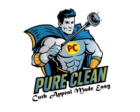 Pure Clean entry by Vikram Jinjariya