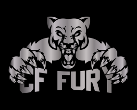 CF Fury entry by miyati