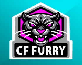 CF Fury entry by OsamaSidd
