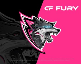 CF Fury entry by FXF Creations