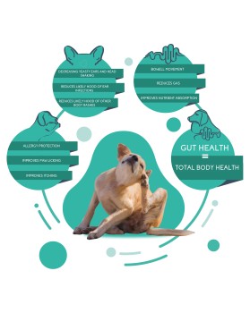 Auralief Solutions entry by bartous khalid