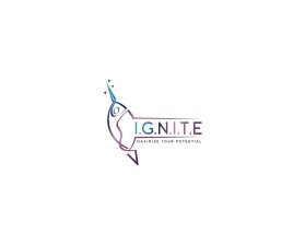 I.G.N.I.T.E entry by bartous