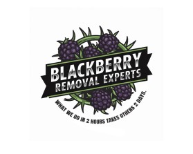 Blackberry Removal Experts entry by Nadine Gharbi