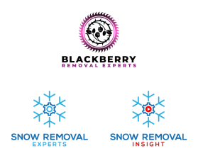 Blackberry Removal Experts entry by Saepudin