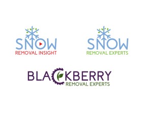 Blackberry Removal Experts entry by bartous khalid