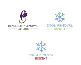 Blackberry Removal Experts entry by bartous khalid
