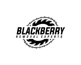Blackberry Removal Experts entry by andi suhendi