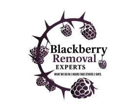Blackberry Removal Experts entry by Juan D. Montero