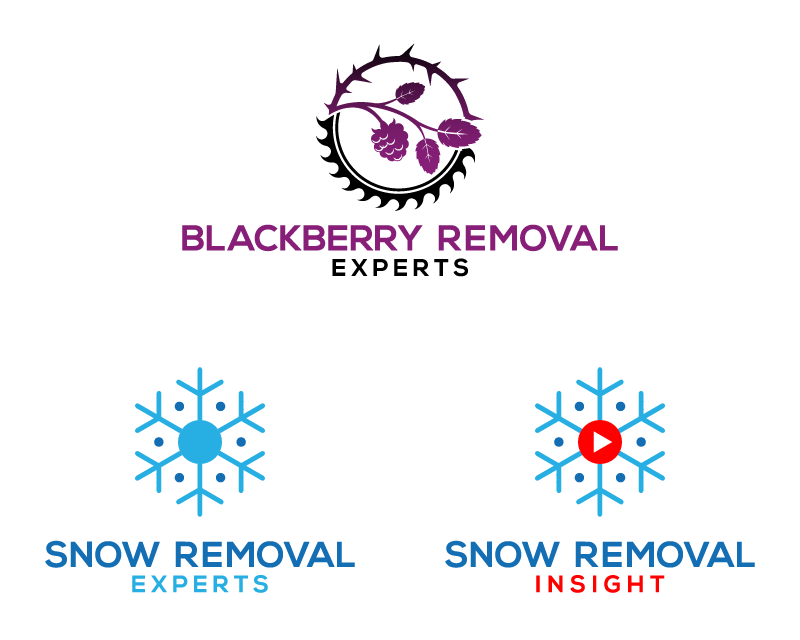 Logo Design for Blackberry Removal Experts