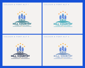 Hill Country Lawn Solutions entry by Reworded