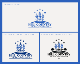 Hill Country Lawn Solutions entry by Reworded