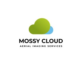 Mossy Cloud entry by dewi aarini