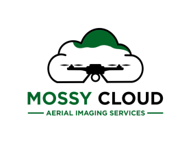 Mossy Cloud entry by mulia