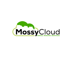 Mossy Cloud entry by David Field