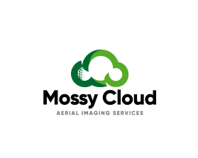Mossy Cloud entry by Dimitris