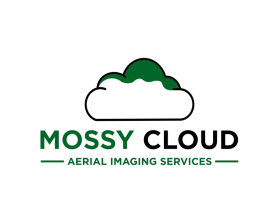 Mossy Cloud entry by mulia
