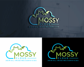 Mossy Cloud entry by Bpo