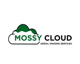 Mossy Cloud entry by mulia
