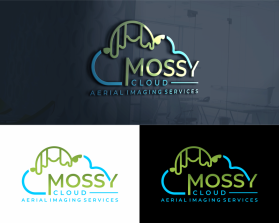 Mossy Cloud entry by Bpo