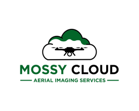 Mossy Cloud entry by mulia