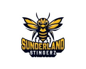 https://www.sunderlandstingerz.com/ entry by WIDOKO