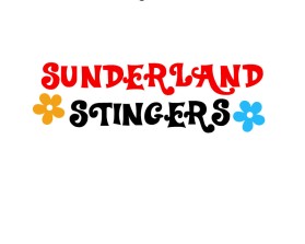 https://www.sunderlandstingerz.com/ entry by Zavi